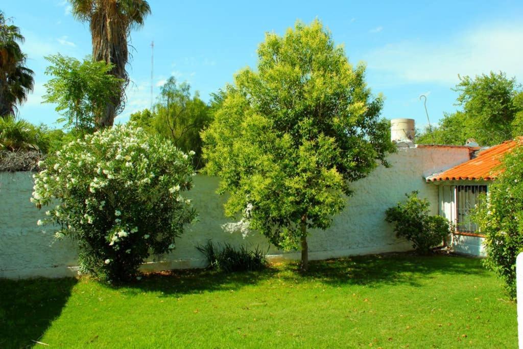 Big beautiful house with garden in 5ta Sección neighbourhood Mendoza Exterior foto