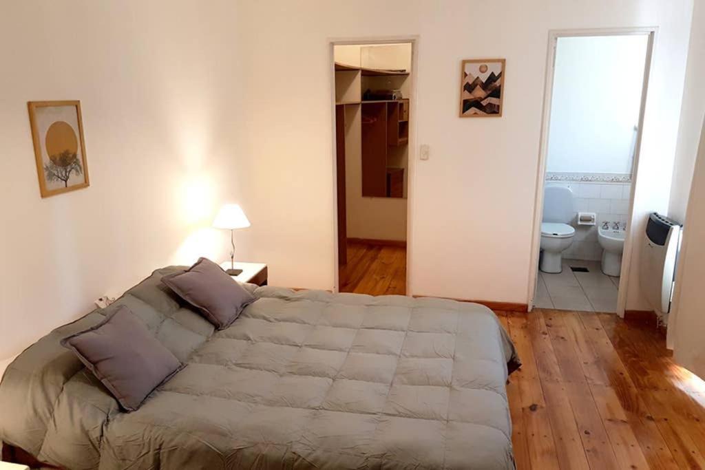 Big beautiful house with garden in 5ta Sección neighbourhood Mendoza Exterior foto