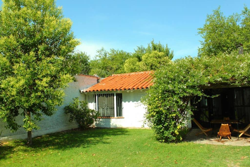 Big beautiful house with garden in 5ta Sección neighbourhood Mendoza Exterior foto